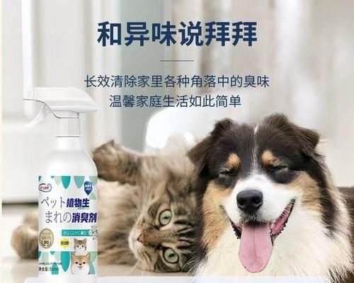 猫咪尿道不通症状及治疗方法(揭秘猫咪尿道疾病的真相)