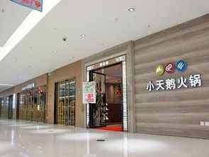 重庆宠物店大盘点?重庆市最受欢迎的宠物店排行榜