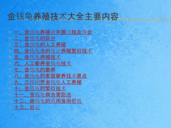 石金钱龟养殖金钱龟养殖技术大全简介ppt课件_第3页