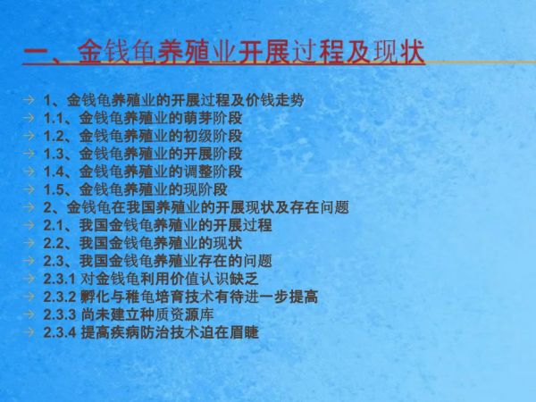 石金钱龟养殖金钱龟养殖技术大全简介ppt课件_第4页