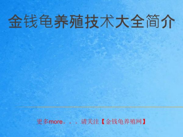 石金钱龟养殖金钱龟养殖技术大全简介ppt课件_第2页