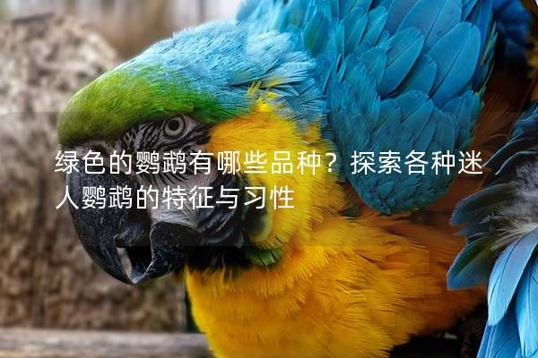 绿色的鹦鹉有哪些品种?探索各种迷人鹦鹉的特征与习性