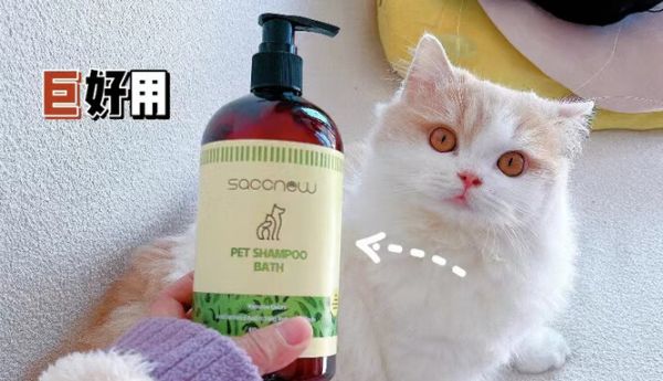 宠物沐浴露品牌推荐：飒楚纯草本洗护，守护爱宠皮毛健康