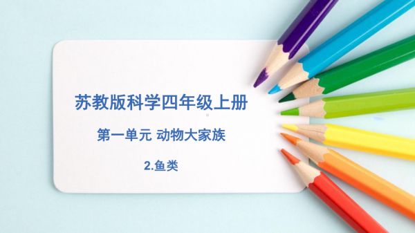 1.2鱼类（教学ppt课件）(共12张PPT+视频)-2023新苏教版四年级上册《科学》.pptx_第1页