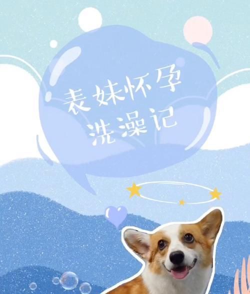 狗狗怀孕后的注意事项（为你的爱犬提供合适的孕期护理）
