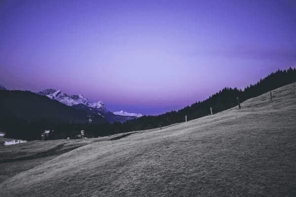 幼犬雪纳瑞吃多少，幼犬雪纳瑞吃多少狗粮