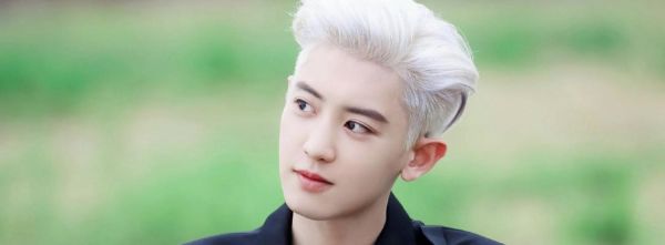 骨朴狗粮，为你的宠物提供健康饮食（打造高品质狗粮，关爱你的宠物健康）