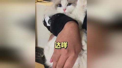 你今天出门赚到小鱼干了吗就亲我！