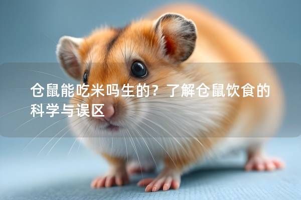仓鼠能吃米吗生的？了解仓鼠饮食的科学与误区
