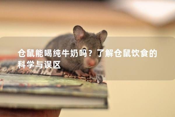 仓鼠能喝纯牛奶吗？了解仓鼠饮食的科学与误区