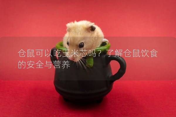 仓鼠可以吃玉米芯吗？了解仓鼠饮食的安全与营养