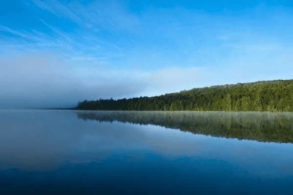 泰迪狗怎么洗澡毛干净，泰迪狗怎么洗澡毛干净呢