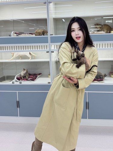 听说北京的铲屎官都来这里了