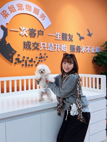 治愈系宠物天堂发现!