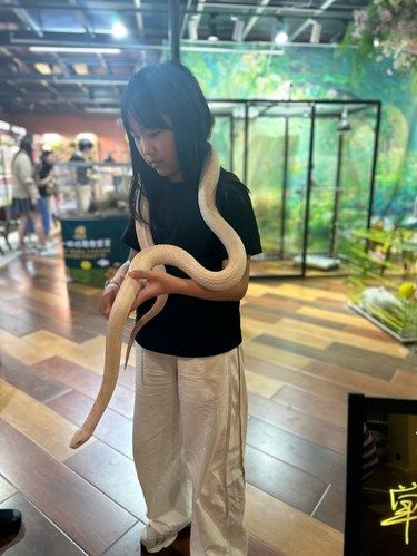 竟然敢摸一米多长的大蛇 