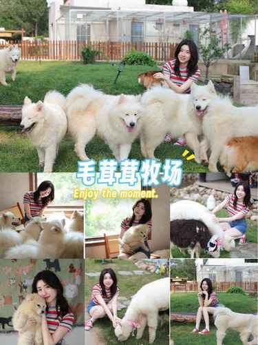 沈阳 市区里的神仙农场，动物多到像童话！