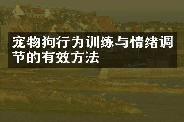 宠物狗行为训练与情绪调节的有效方法