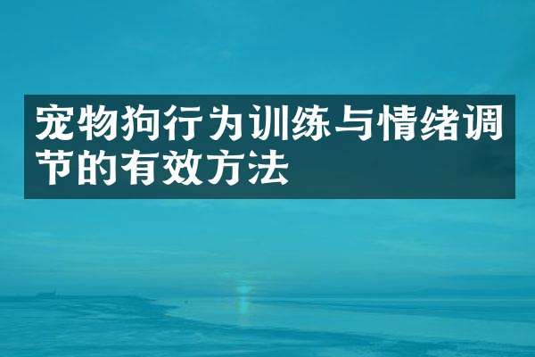 宠物狗行为训练与情绪调节的有效方法