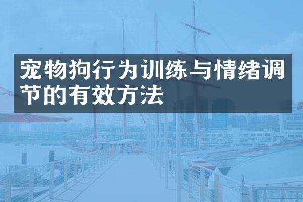 宠物狗行为训练与情绪调节的有效方法