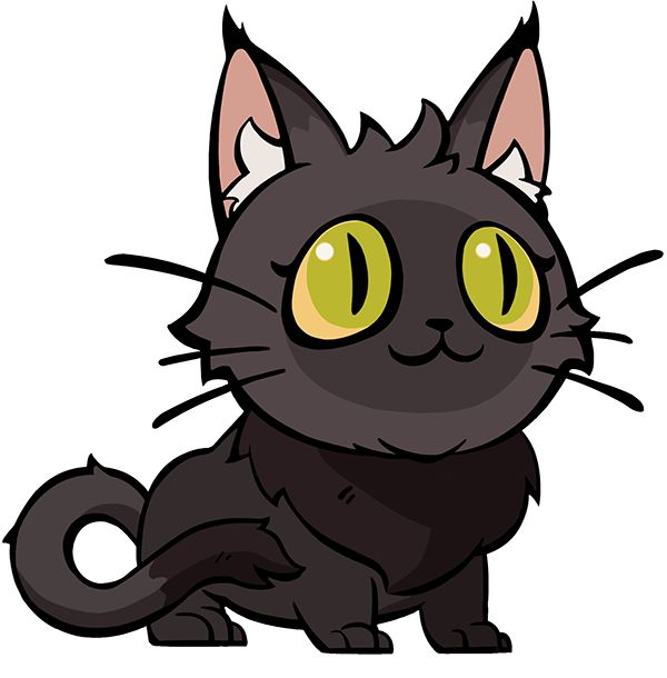 宠物-黑猫介绍