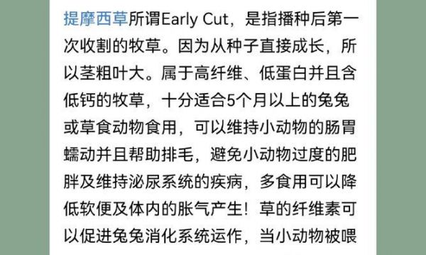 仓鼠夏季感冒的预防与治疗（小动物健康保护，关爱宠物的生活质量）