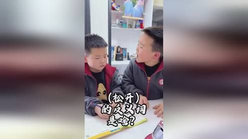 松开的反义词不松花10元巨资请的家教辅导学生语文头很大
