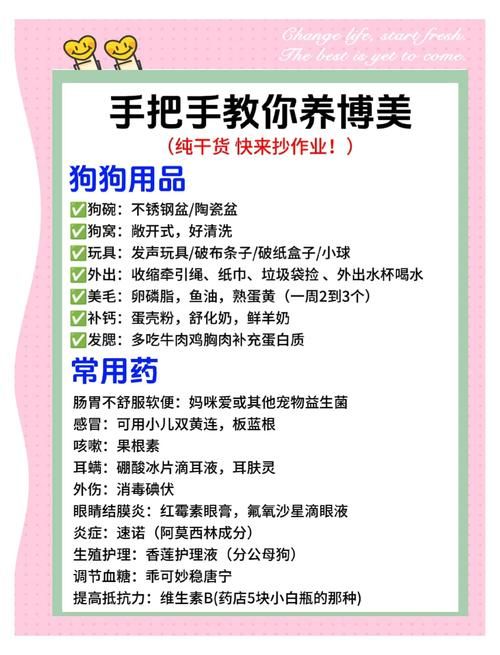 宠物帝国：2025年热门宠物用品选购指南与科学养护全攻略