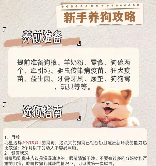 初次养犬的人应该选择哪些犬种？（为初次养犬者提供适合的犬种推荐及关键注意事项）