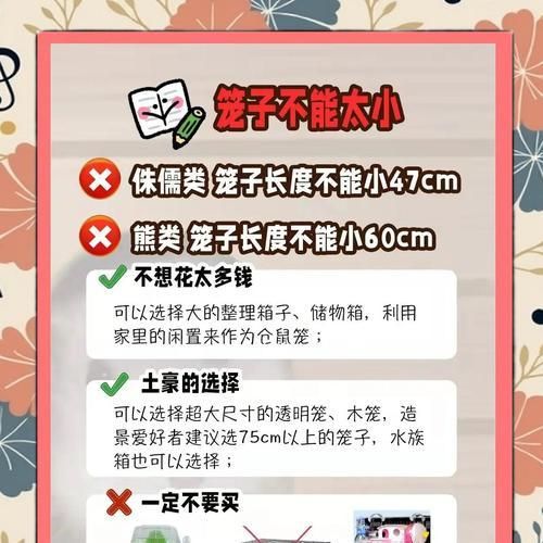 如何养仓鼠？从零开始的新手必读指南（掌握仓鼠的基础知识，让你成为合格的鼠爸鼠妈）