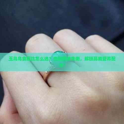 玉鸟鸟食配比