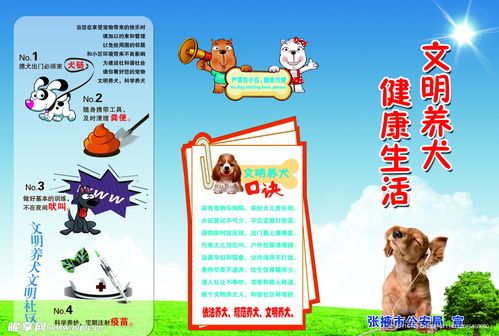 养狗必备：健康快乐成长指南