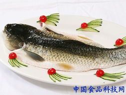 揭秘宠物黑裙幼鱼的美食清单:营养与选择指南