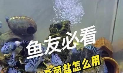 鱼缸消毒盐的用途及好处（保护鱼儿健康，维护水质清洁）