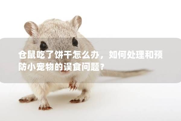 仓鼠吃了饼干怎么办，如何处理和预防小宠物的误食问题？