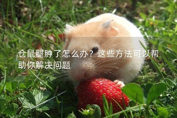 仓鼠腿肿了怎么办？这些方法可以帮助你解决问题