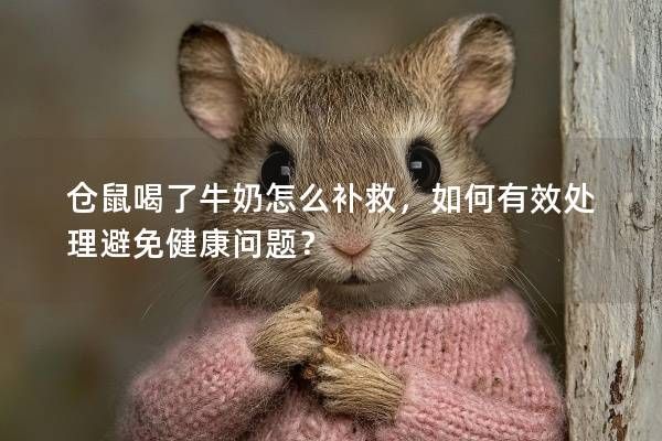 仓鼠喝了牛奶怎么补救，如何有效处理避免健康问题？