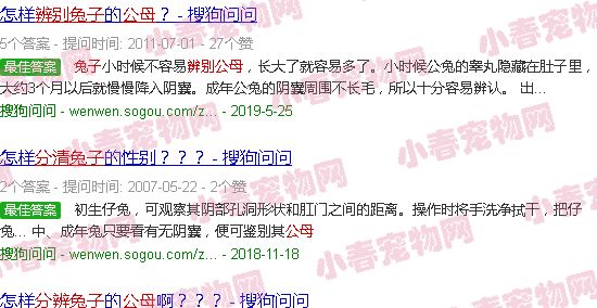 宠物兔公母的区别