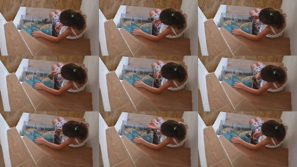 年轻女孩在楼梯上和宠物仓鼠玩耍，展现了温暖、关爱以及宠物与孩子之间的纽带。