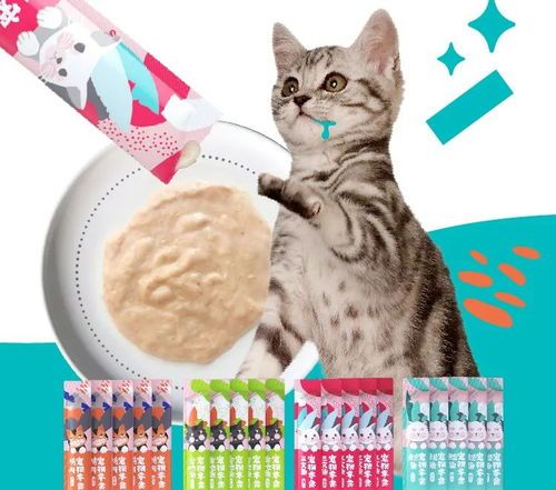 猫咪三文鱼食谱，宠物营养佳选。