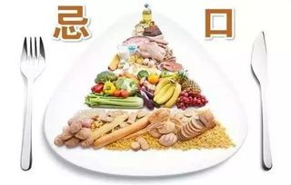 病猫细小病毒，营养食谱推荐