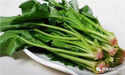 猫咪能吃哪些青菜？菠菜、白菜、油菜，你猜对了吗？