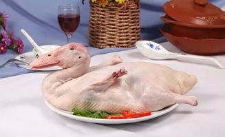 猫饭生骨鸭肉饭怎么做对宠物健康最好？