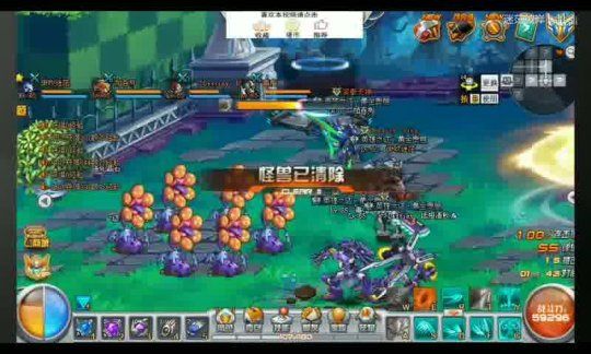 萌宝哥哥开服视频:带你领略萌宠世界的欢乐时光