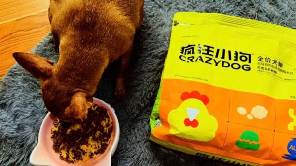 2025年宠物狗粮哪个品牌好?疯狂小狗以酶解肉松粮领跑健康养宠