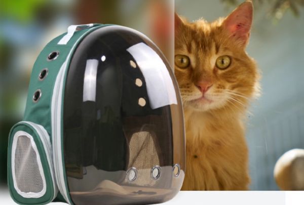 启萌先生猫包能上地铁吗