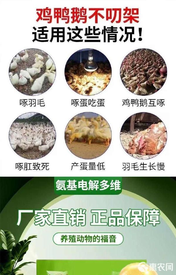 电解多维VC抗应激补维生素猪牛羊鸡鸭鹅龟水产孕畜饲料添加 电解多维VC抗应激补维生素猪牛羊鸡鸭鹅龟水产孕畜饲料添加