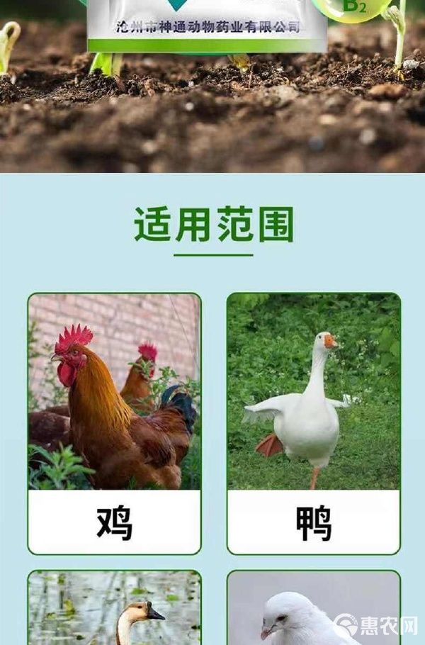 电解多维VC抗应激补维生素猪牛羊鸡鸭鹅龟水产孕畜饲料添加 电解多维VC抗应激补维生素猪牛羊鸡鸭鹅龟水产孕畜饲料添加