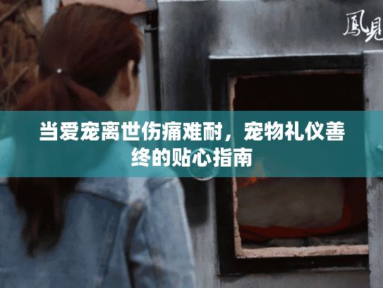 当爱宠离世伤痛难耐,宠物礼仪善终的贴心指南