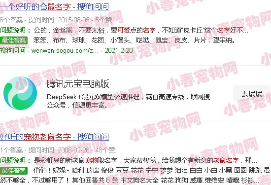 宠物老鼠名字可爱洋气