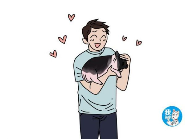 小伙网购宠物猪,1年后拍照上传买家秀:内容过于真实了